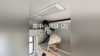 完成性投诉处理的资深办公室女士