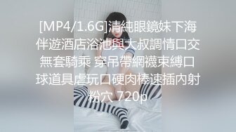 摩擦肥鲍的黑蝴蝶