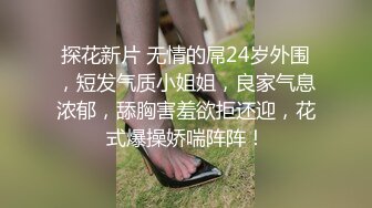 极品小妖精