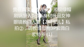 淫荡巨乳嫂子5，一对美乳又大又白，掏出大奶乳交，多毛骚逼骑乘位，后入撞击乳摇，穿上高跟鞋站立抽插