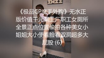 《极品CP魔手外购》无水正版价值千元某工厂职工女厕所全景正点位置偸拍各种美女小姐姐大小便看脸看双洞超多大屁股 (6)