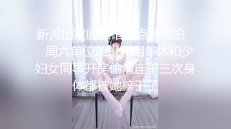 STP22428 糖心出品 糖心黑丝美女车模线下体验