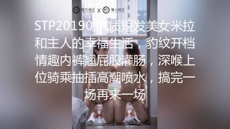 回归91，大连学妹69作品