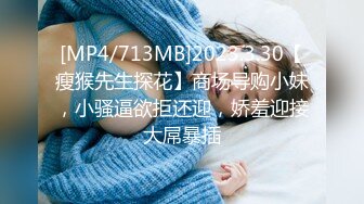 情趣骚妻发浪2