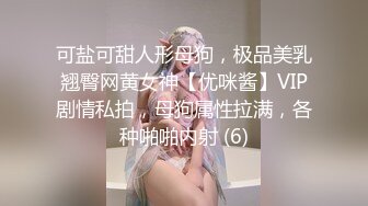 推特网红可爱女仆JK嫩妹与粉丝大肉棒的激烈交合【高清完版看下遍简阶】