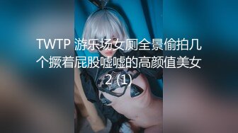 TWTP 游乐场女厕全景偷拍几个撅着屁股嘘嘘的高颜值美女2 (1)