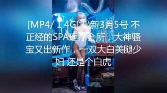 [高清中文字幕] SDDM-570任人隨意擺佈玩弄的可憐秘書