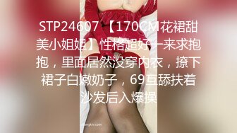 STP24607 【170CM花裙甜美小姐姐】性格超好一来求抱抱，里面居然没穿内衣，撩下裙子白嫩奶子，69互舔扶着沙发后入爆操