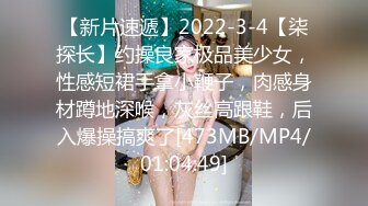 蛇人渔网袜少妇吃完鸡巴，卖力口活然后自己坐上来