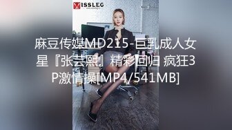 国产AV 精东影业 JD040 找替身