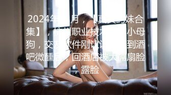 贺岁：女上后入之一