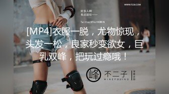 小和甜酒 交错战线卡提那