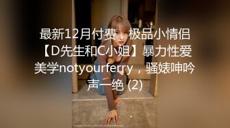 最新12月付费，极品小情侣【D先生和C小姐】暴力性爱美学notyourferry，骚婊呻吟声一绝 (2)