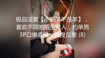 极品淫妻【小肥羊不是羊】，喜欢不同的陌生男人，约单男3P口爆吞精，极度反差 (8)