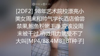 震动棒调教骚逼