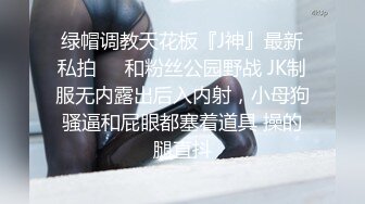 「你的女友真不错」～瞒着第一次交往的晚熟男友，去憧憬的前辈家～ 市来真寻