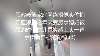 黑客破解家庭网络摄像头偷拍正值狼虎之年夫妻房事媳妇被舔的时候估计是爽感上头一直手揉着自己的葡萄 (3)