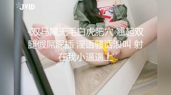 麻豆传媒&渡边传媒 DB009 轻轨小妞随我玩 碰上痴女自慰 不想视频外流 乖乖挨操