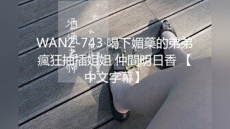 WANZ-743 喝下媚藥的弟弟瘋狂抽插姐姐 仲間明日香 【中文字幕】