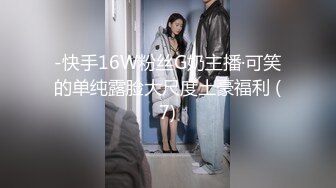 【精品国产】淫贼欲盗窃巧遇空姐在家自慰硬上[MP4/178MB][BT种子]