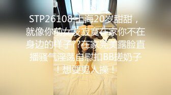 收集的一些淫妻BBC题材的合集2【292V】 (232)