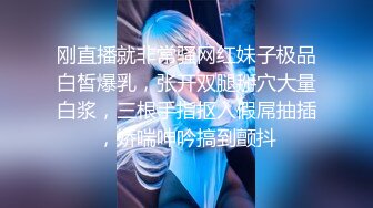 小女仆认真细致的前戏