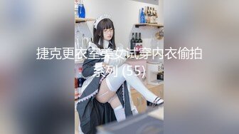 版主 发布这么多部原创验证的视频该通过达人申请了吧