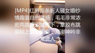 高冷vs反差女神来袭~国内三大维密模特奚梦瑶、刘雯、何穗刺激透视凸点裸身走秀视图