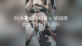 91牛哥全2048最全HD母带合集【54v】1 (26)