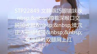 STP22849 文静乖巧眼镜妹&nbsp;&nbsp;蹲着深喉口交脱掉衣服&nbsp;&nbsp;揉穴正入抽插猛操&nbsp;&nbsp;穿高跟鞋双腿肩上扛