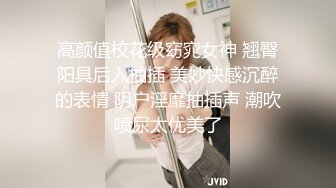 涩会传媒 SH-011 老板无法满足的寂寞少妇 看上了新来的大学生