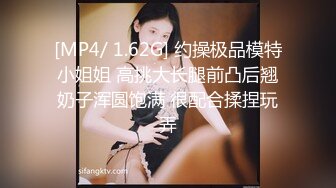 Stripchat主播【林夕 Aafairy】抖奶 热舞 自慰视频福利 最全 合集【100v】 (113)