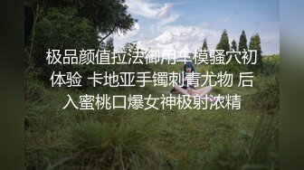 国产夫妻档,贵在真实,迷人少妇穿着开档黑丝被大哥擡腿侧入爆艹