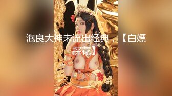 泡良大神未流出经典，【白嫖探花】