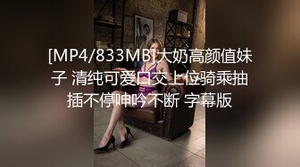 麻豆传媒 fx-0015 性感圣诞女郎上门榨精-苏璇