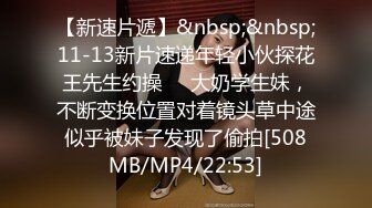 RBD-635 [无码破解] 美人妻公開調教倶楽部 西野翔