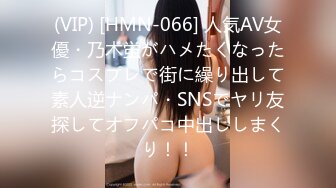 (VIP) [HMN-066] 人気AV女優・乃木蛍がハメたくなったらコスプレで街に繰り出して素人逆ナンパ・SNSでヤリ友探してオフパコ中出ししまくり！！