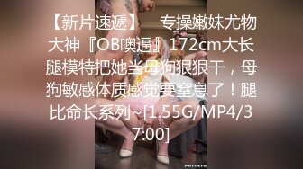 高颜值气质大胸美乳主播和司机网友开车到郊外直播[MP4/393MB]